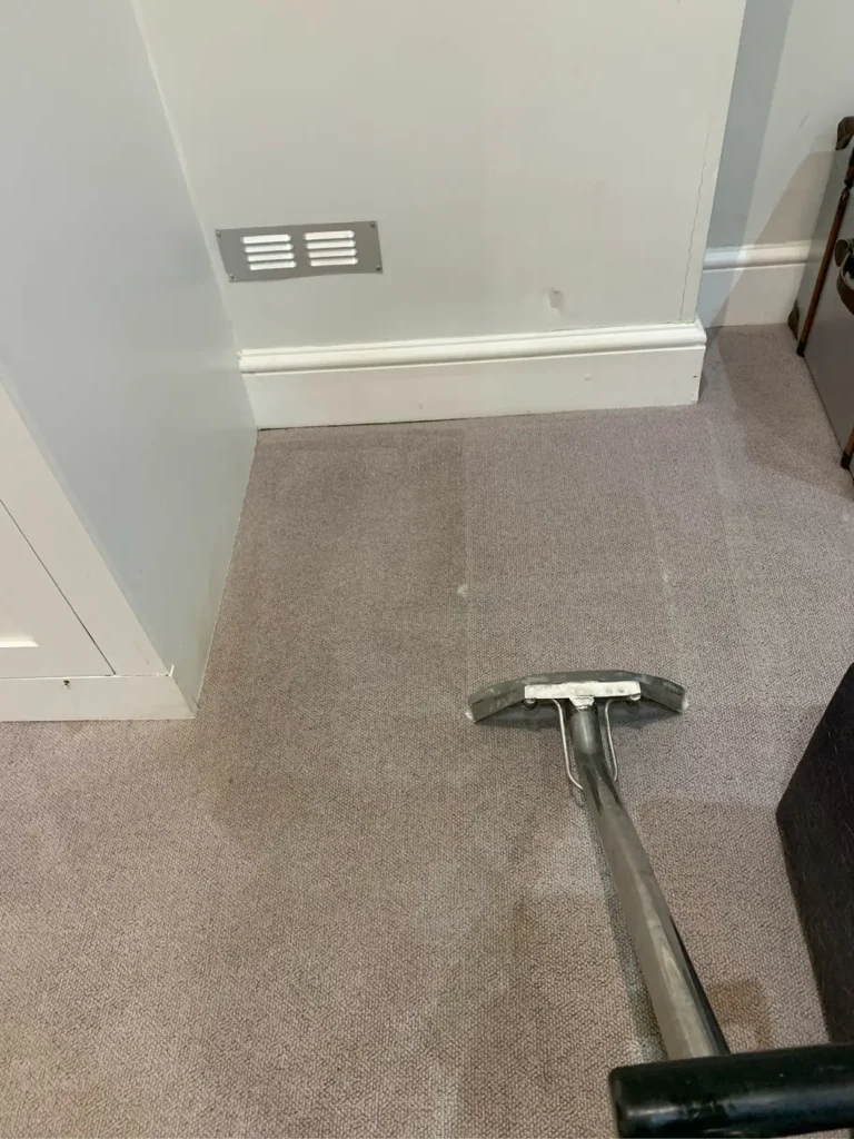 SCS-Image-800x600px-Carpet_v101