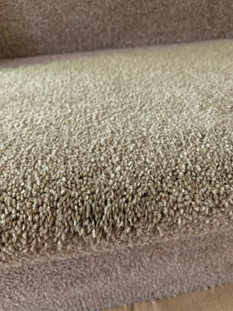 SCS-Image-800x600px-Carpet_v104