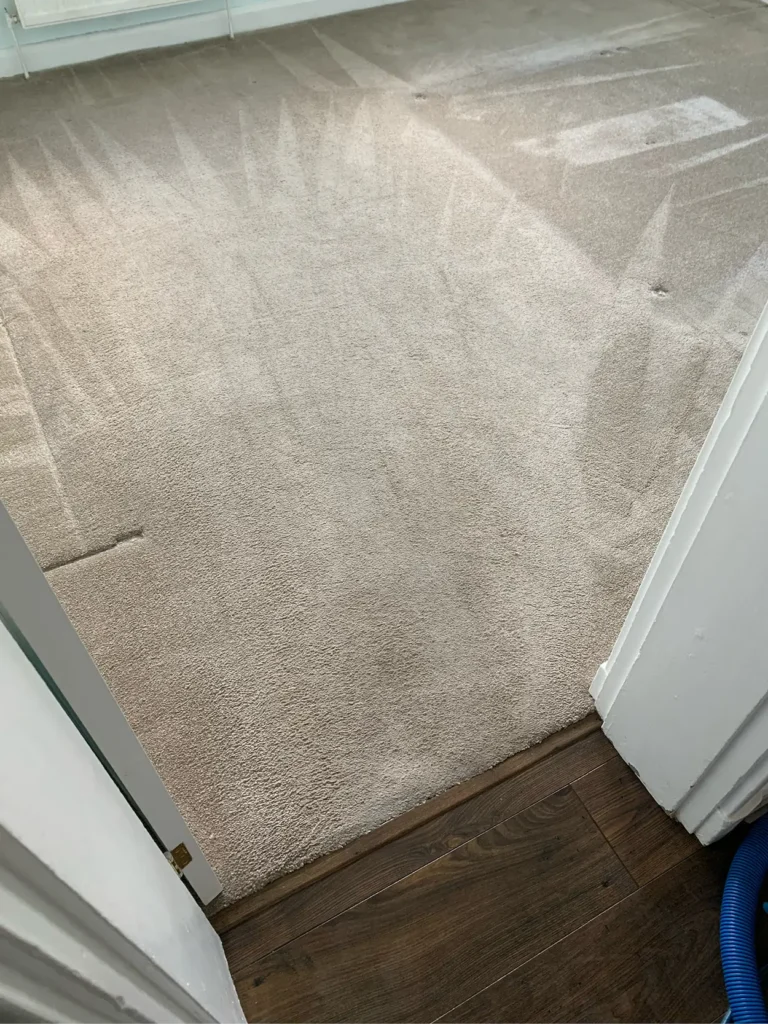 SCS-Image-800x600px-Carpet_v106
