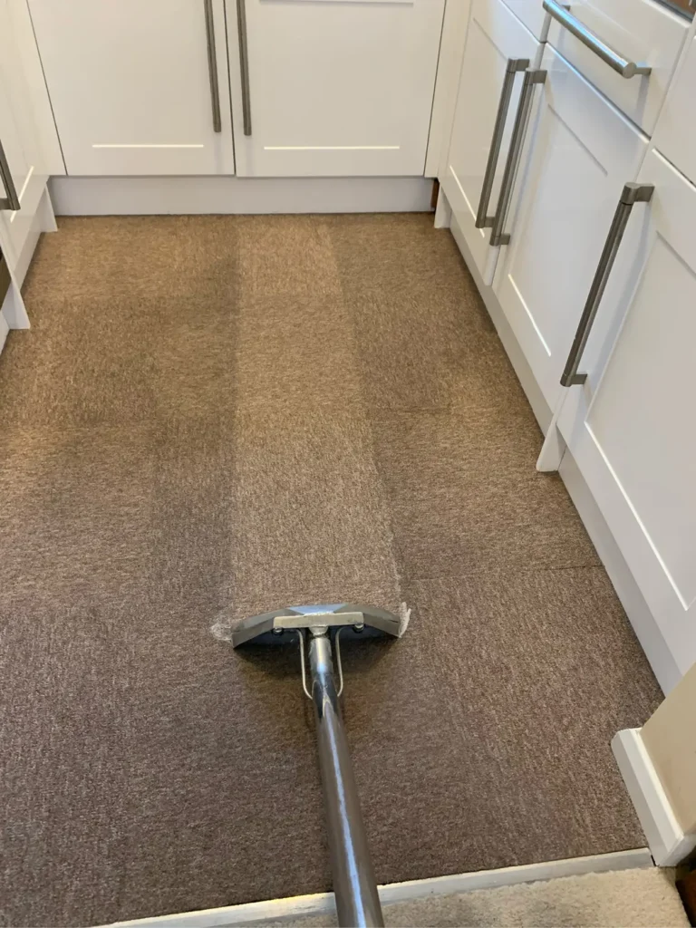 SCS-Image-800x600px-Carpet_v107