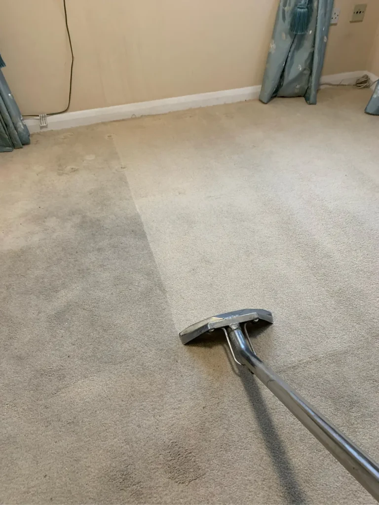 SCS-Image-800x600px-Carpet_v108