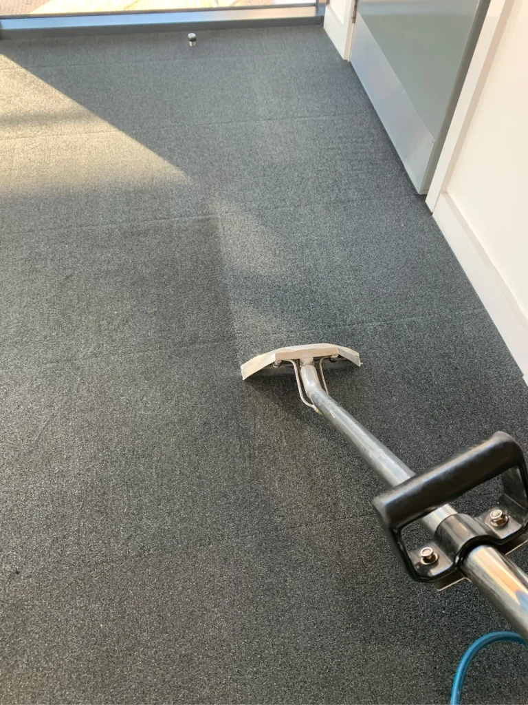 SCS-Image-800x600px-Carpet_v109