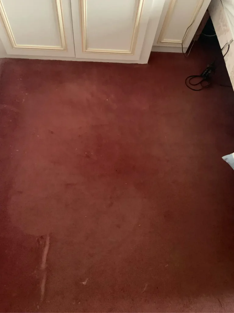 SCS-Image-800x600px-Carpet_v110