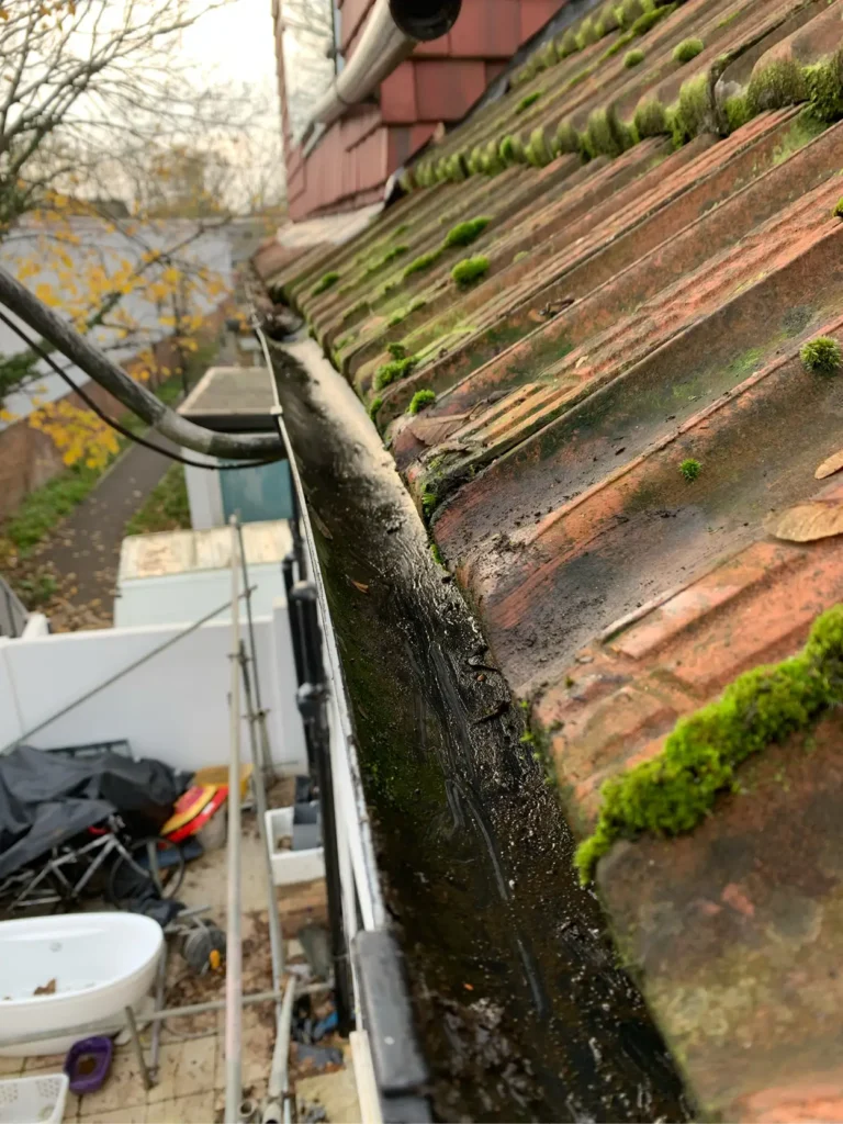 SCS-Image-800x600px-Gutter_v1-02