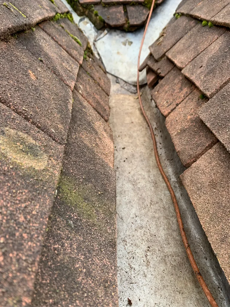 SCS-Image-800x600px-Gutter_v1-06
