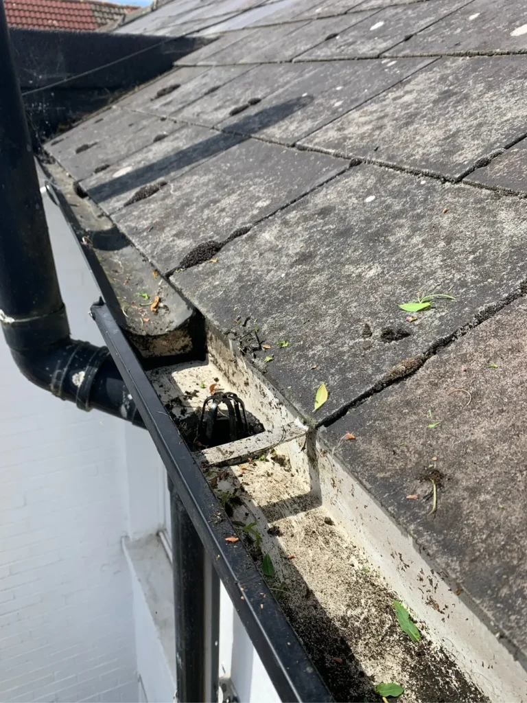 SCS-Image-800x600px-Gutter_v1-08