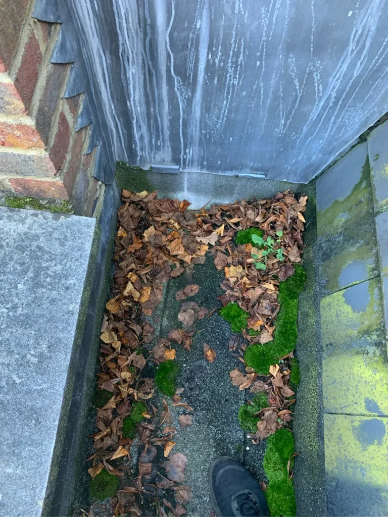 SCS-Image-800x600px-Gutter_v1-13