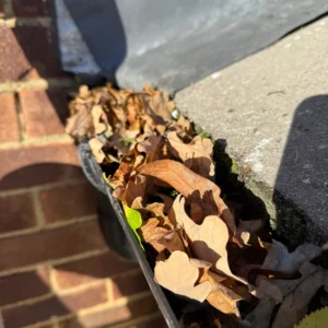 This is a picture of a a gutter with leaves in it.
